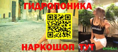 индика Нарткала